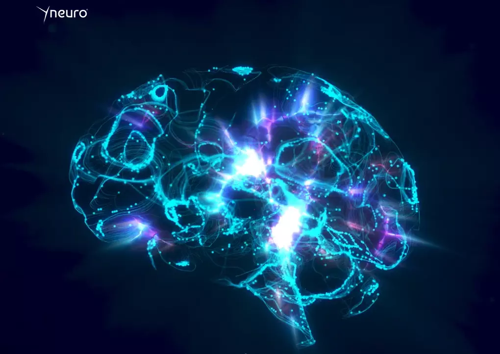 Yneuro - Article - L'Authentification Biométrique par Empreinte Neuronale, une Révolution de la Sécurité Numérique en 2026